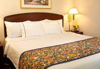Spark By Hilton Colonnade Hotel 3*